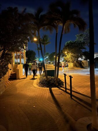 Nuoria miehiä kävelemässä pimeässä illassa kadulla, jossa on palmuja